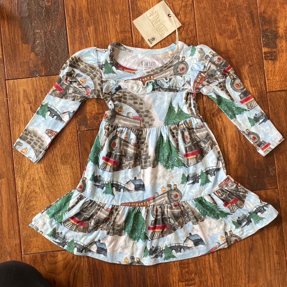 Tiny Roots Bamboo Dress NWT 12-18 months